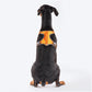 HUFT Active Pet Dog Harness - Orange_10
