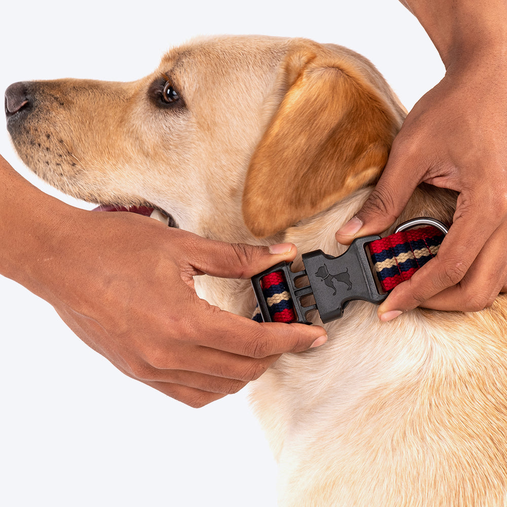 HUFT Retro Vibes Dog Collar - Maroon & Navy - Heads Up For Tails
