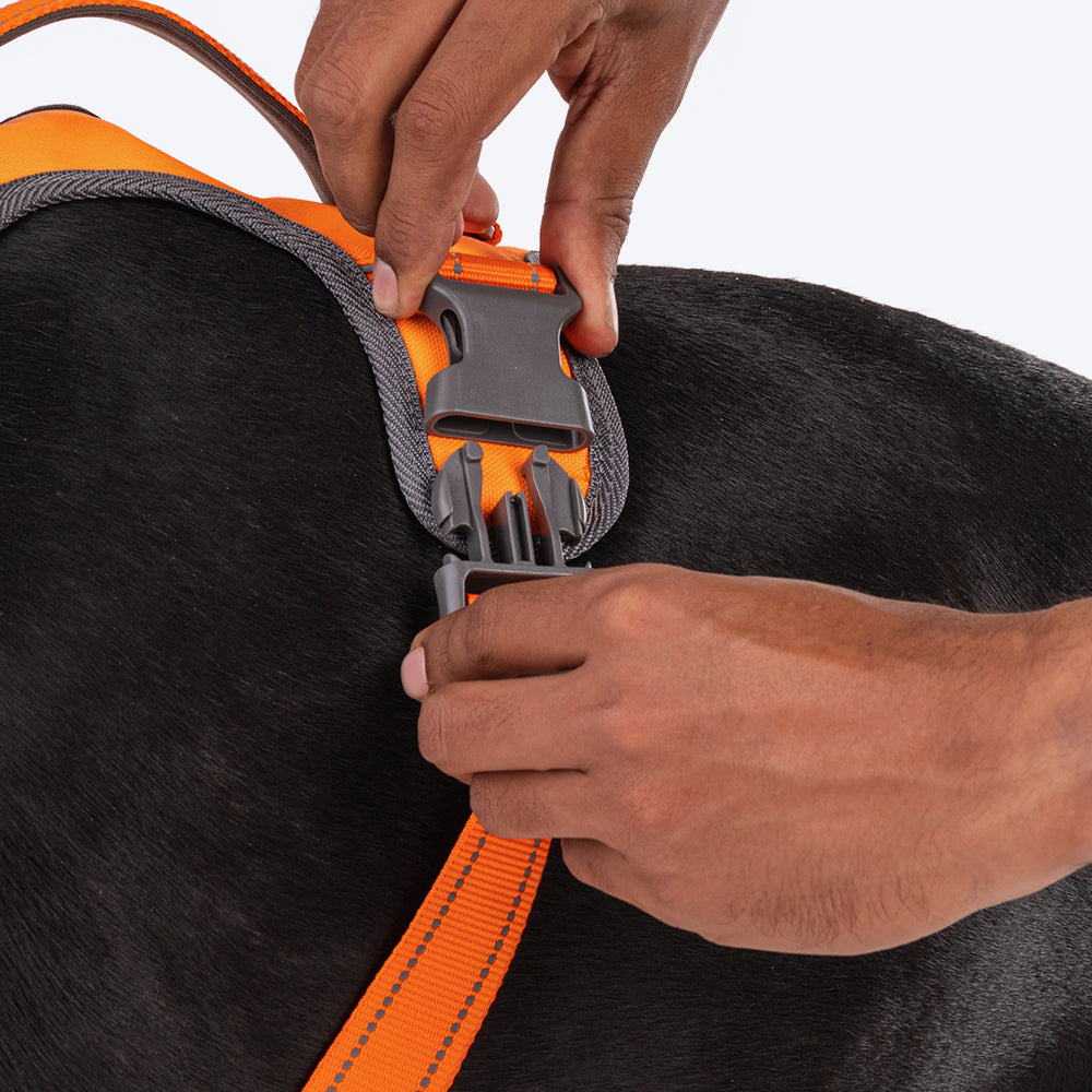 HUFT Active Pet Dog Harness - Orange - Heads Up For Tails