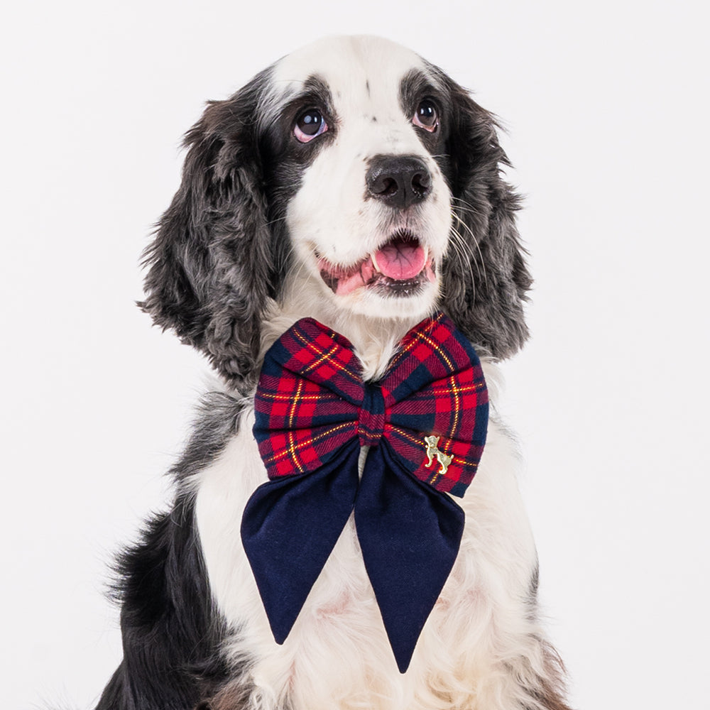 HUFT All I Want For Christmas Bow Tie (Red and Blue) - Heads Up For Tails