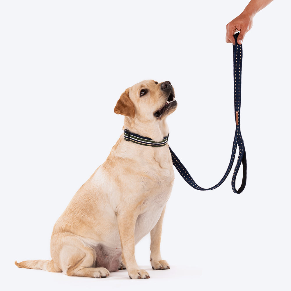 HUFT Trot Along Dog Leash - Navy - Heads Up For Tails_05