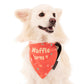 HUFT Personalised Party Starter Birthday Dog Bandana - Coral - Heads Up For Tails