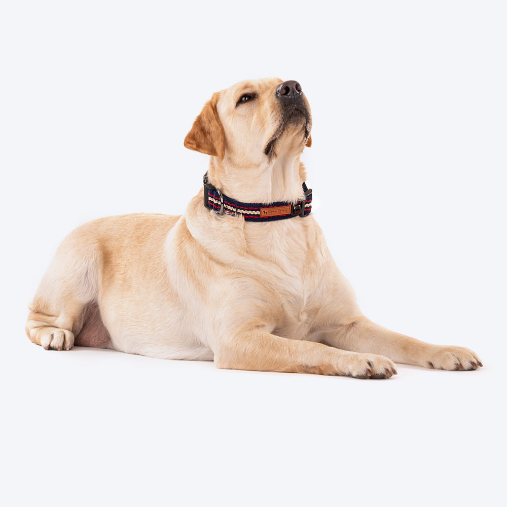 HUFT Blue Me Away Dog Collar Navy Blue Heads Up For Tails