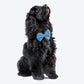 HUFT The Indian Collective Utsav Indigo Dog Bowtie With Strap - Heads Up For Tails