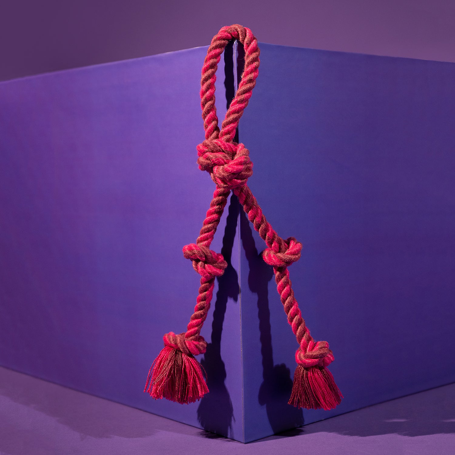 Dash Dog Double Trouble Rope Toy For Dogs - Purple - Heads Up For Tails