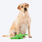 Dash Dog Wild Croc Comfort Dog Toy - Green - Heads Up For Tails