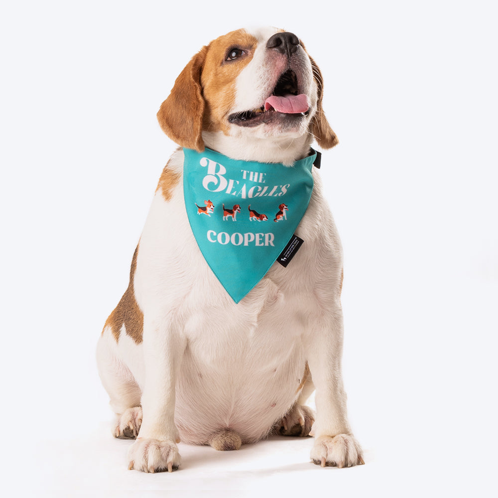 HUFT Personalised The Beagles (Pet is Name) Bandana - Heads Up For Tails