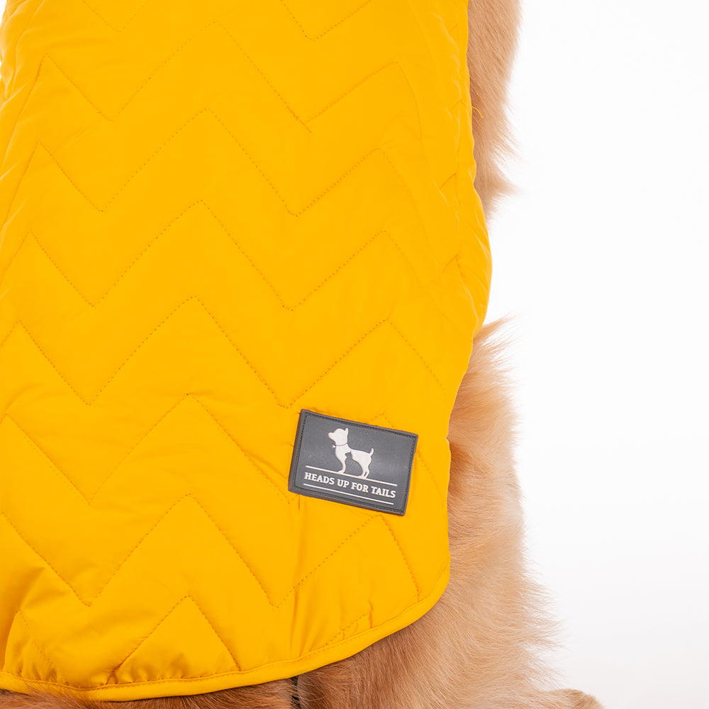 HUFT Wintersong Reversible Dog Jacket - Yellow - Heads Up For Tails