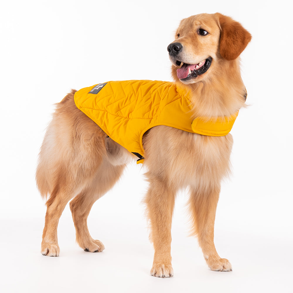 HUFT Wintersong Reversible Dog Jacket - Yellow - Heads Up For Tails