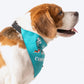 HUFT Personalised The Beagles (Pet¢€š¬…¡¬€š¬…¾¢s Name) Bandana - Heads Up For Tails