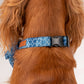 HUFT The Indian Collective Tara Sitara Dog Bow Tie with Strap - Indigo - Heads Up For Tails