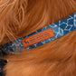 HUFT The Indian Collective Tara Sitara Dog Bow Tie with Strap - Indigo - Heads Up For Tails