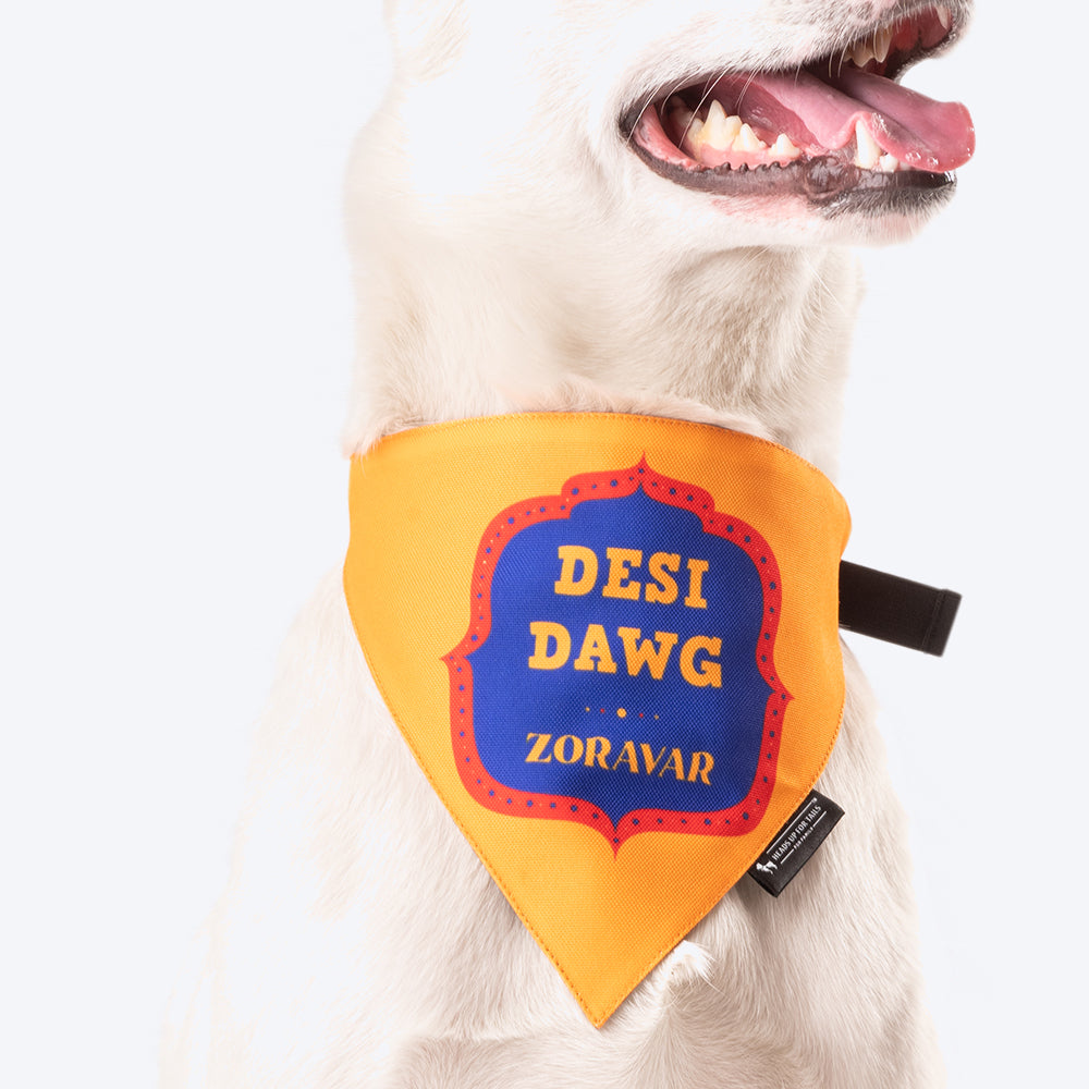 HUFT Personalised Desi Dawg (Pet¢€š¬…¡¬€š¬…¾¢s Name) Bandana - Heads Up For Tails