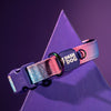 Dash Dog Flow Padded Collar - Pink And Aqua Blue - Heads Up For Tails
