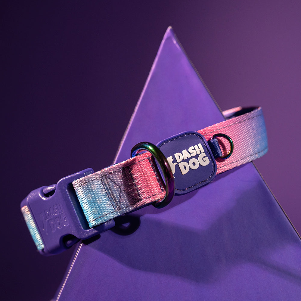 Dash Dog Flow Padded Collar - Pink And Aqua Blue - Heads Up For Tails