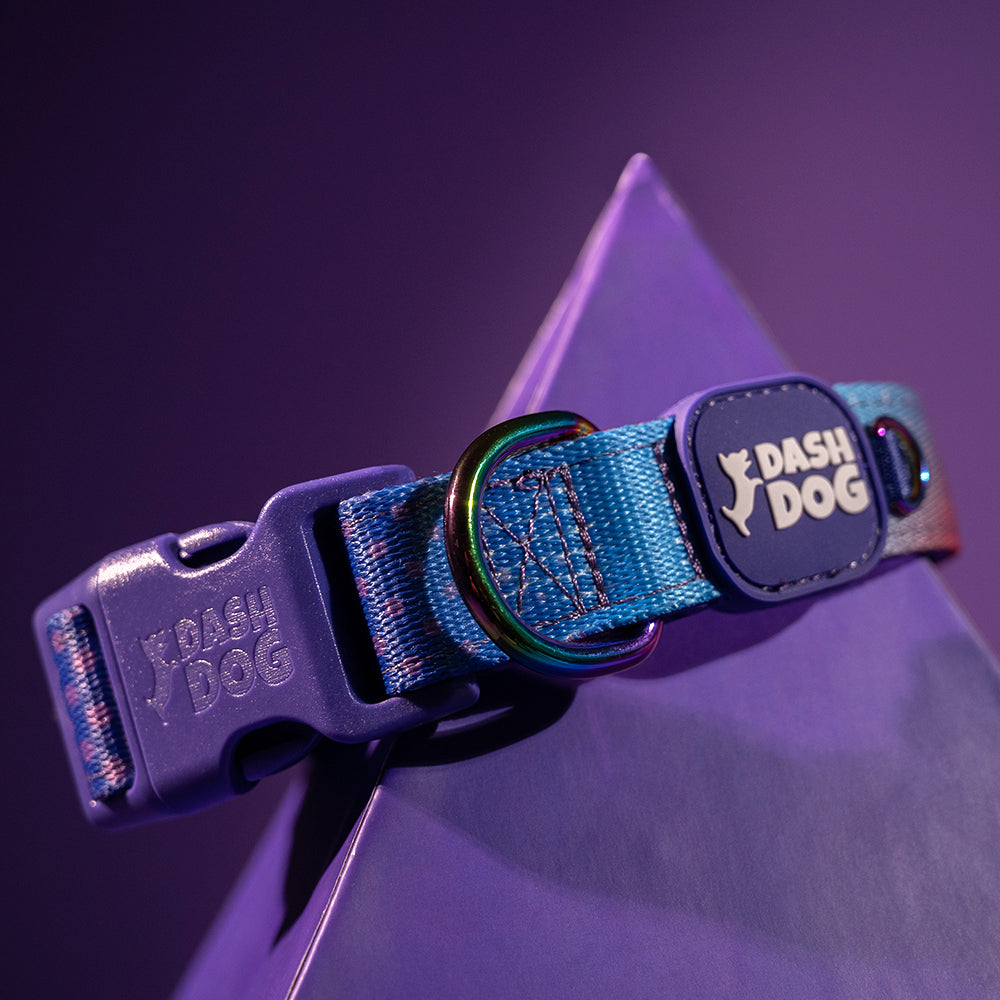 Dash Dog Flow Padded Collar - Violet & Red - Heads Up For Tails