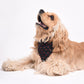 HUFT Heart Stripes Reversible Dog Bandana6