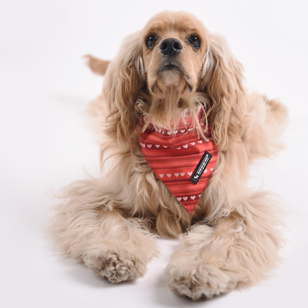 HUFT Heart Stripes Reversible Dog Bandana8