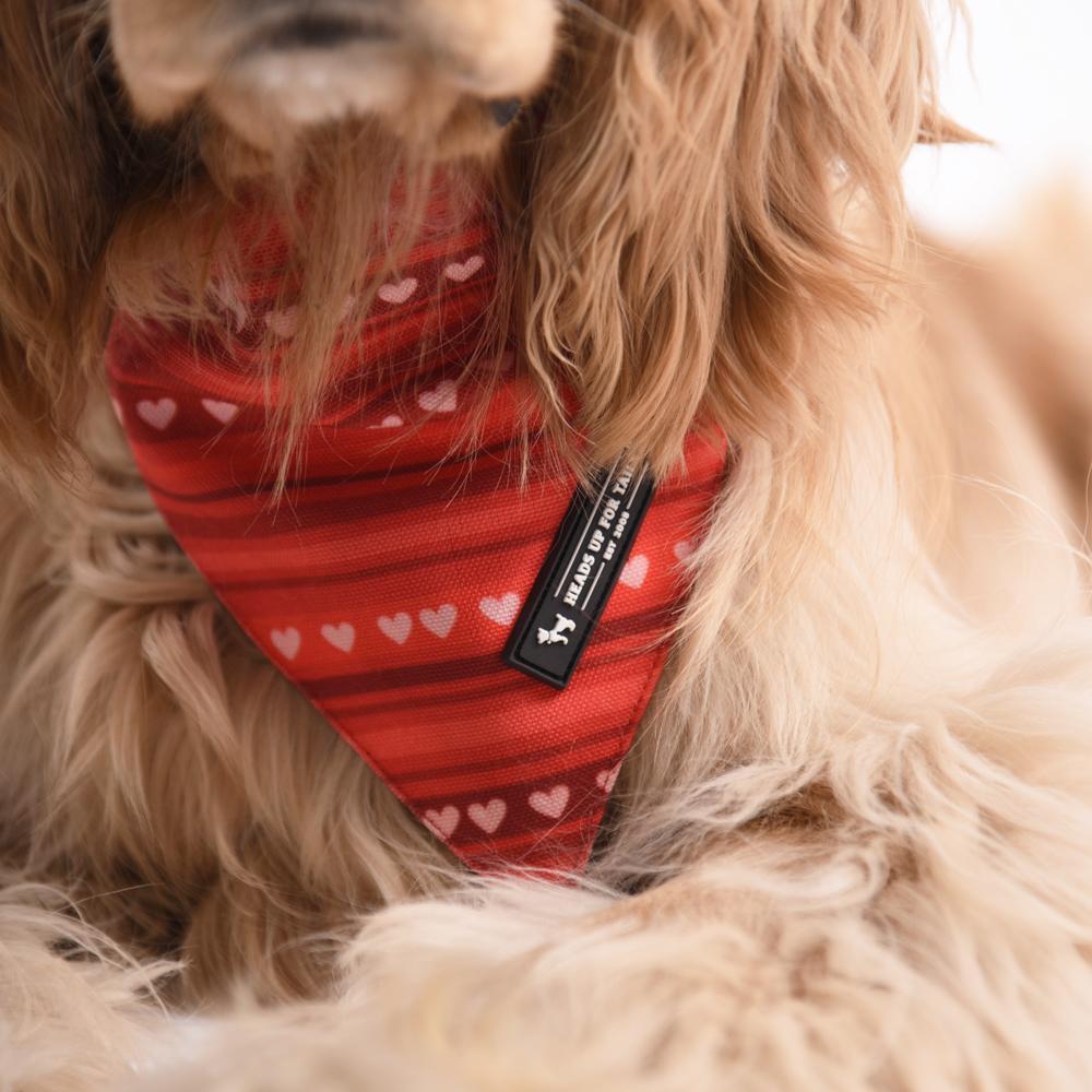 HUFT Heart Stripes Reversible Dog Bandana10
