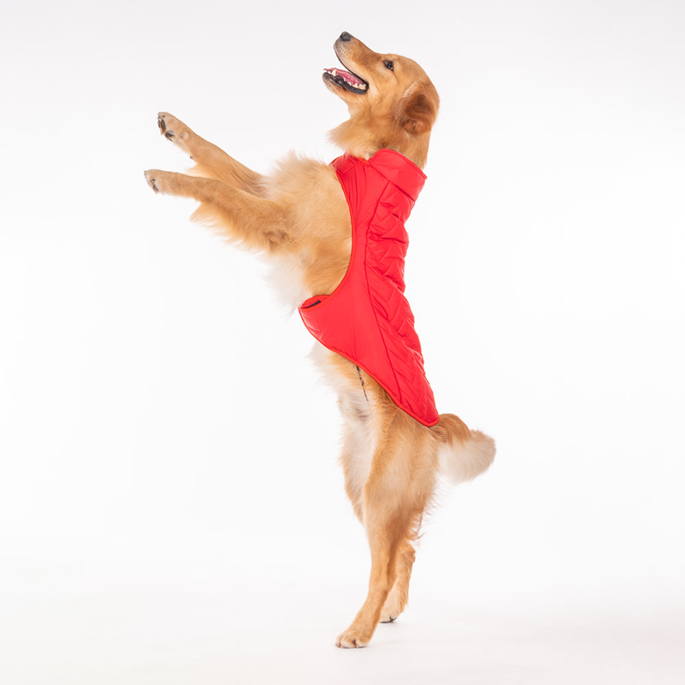 HUFT Wintersong Reversible Dog Jacket - Red - Heads Up For Tails