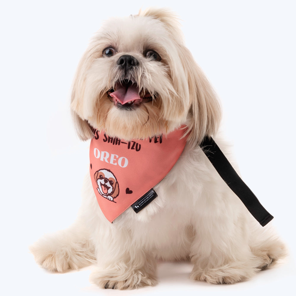 HUFT Personalised Join The Queue To Pet This Shih-Tzu (Pet¢€š¬…¡¬€š¬…¾¢s Name) Bandana - Heads Up For Tails