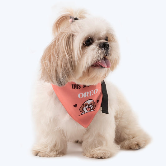 HUFT Personalised Join The Queue To Pet This Shih-Tzu (Pet is Name) Bandana - Heads Up For Tails
