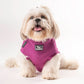 HUFT Join The Queue To Pet This Shih Tzu T-shirt - Heads Up For Tails