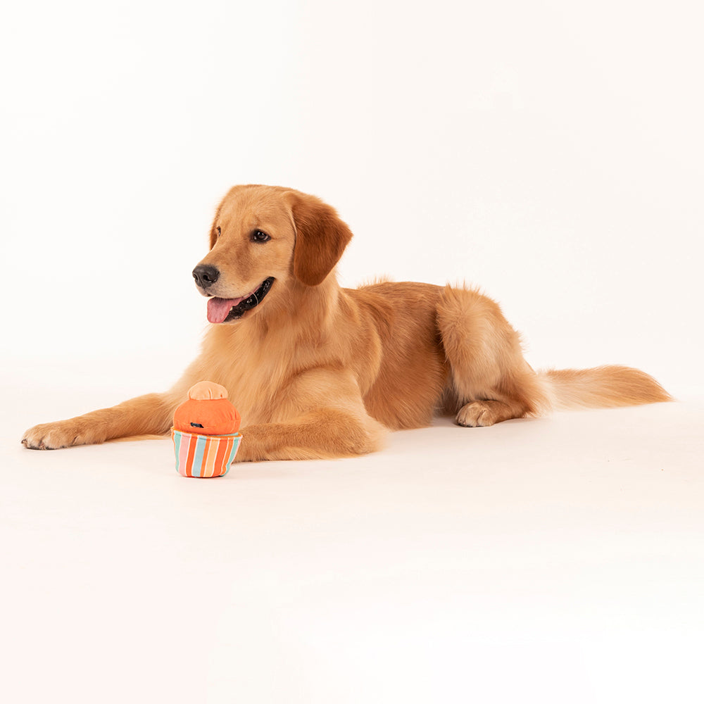 HUFT Birthday Snuffle Cupcake Dog Toy - Heads Up For Tails