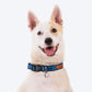 HUFT The Indian Collective Pankti Dog Collar - Indigo - Heads Up For Tails