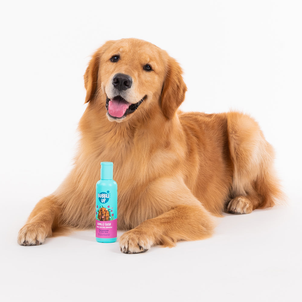 Bubble Up - Long & Lush Long Coat Dog Shampoo-3