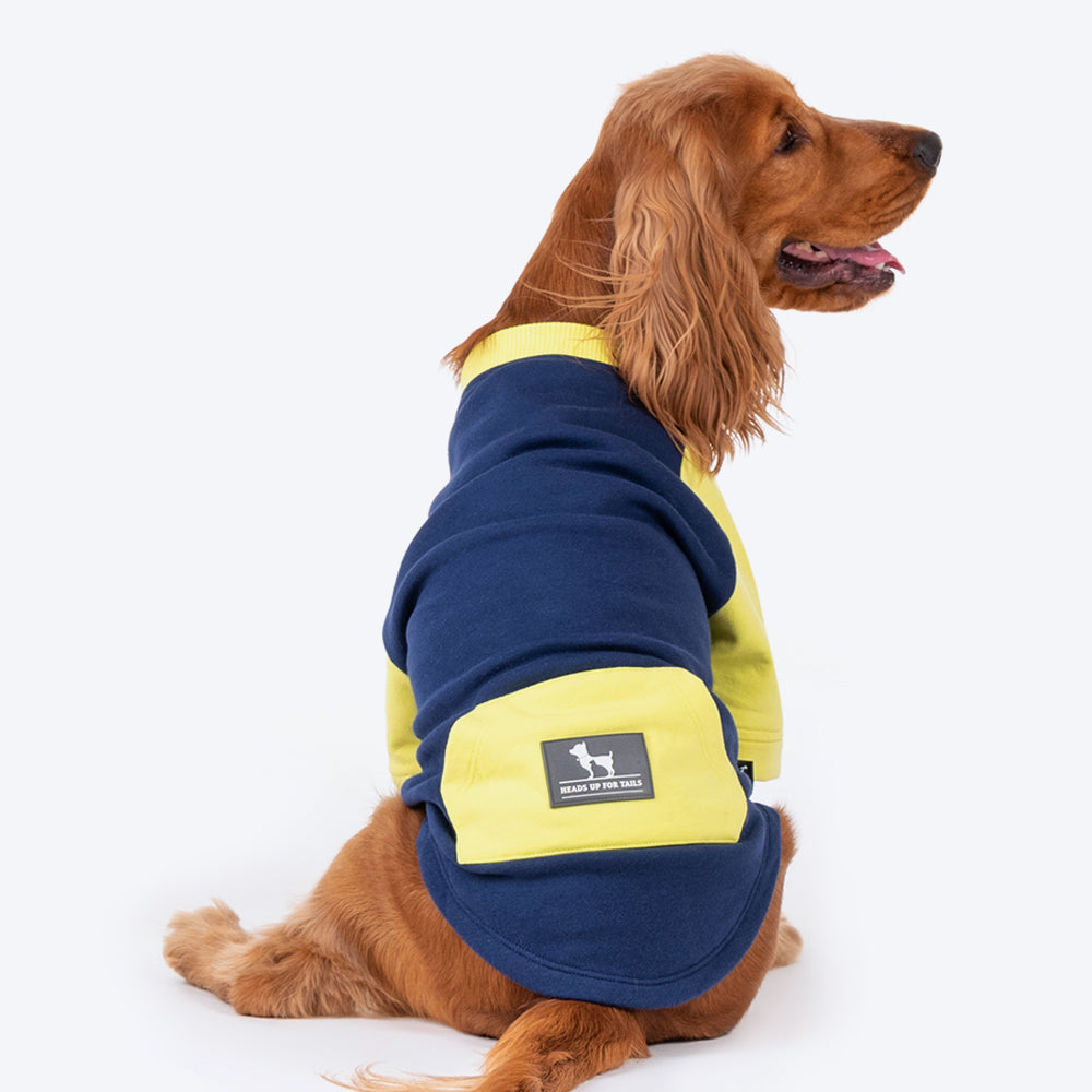 HUFT Colour Block Pocket Pet Sweatshirt - Neon Lime and Navy - Heads Up For Tails