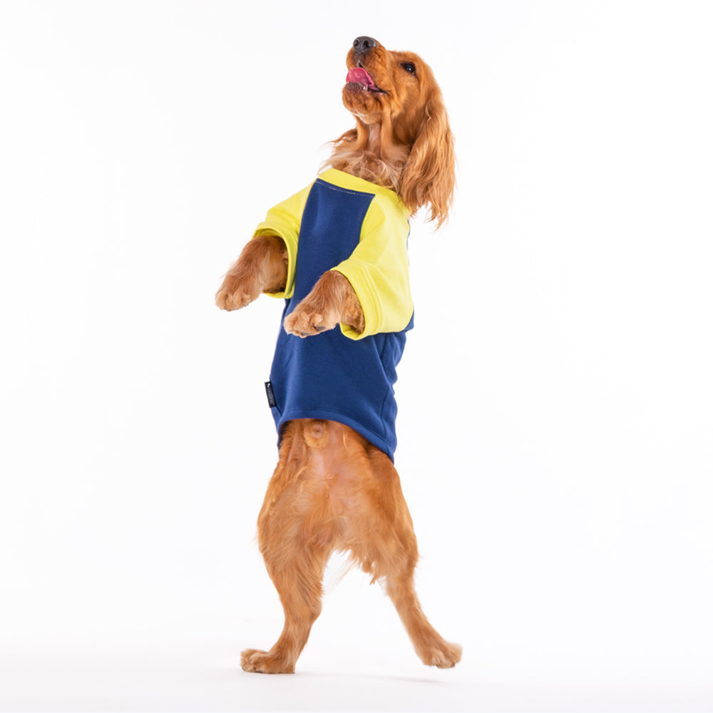 HUFT Colour Block Pocket Pet Sweatshirt - Neon Lime and Navy - Heads Up For Tails