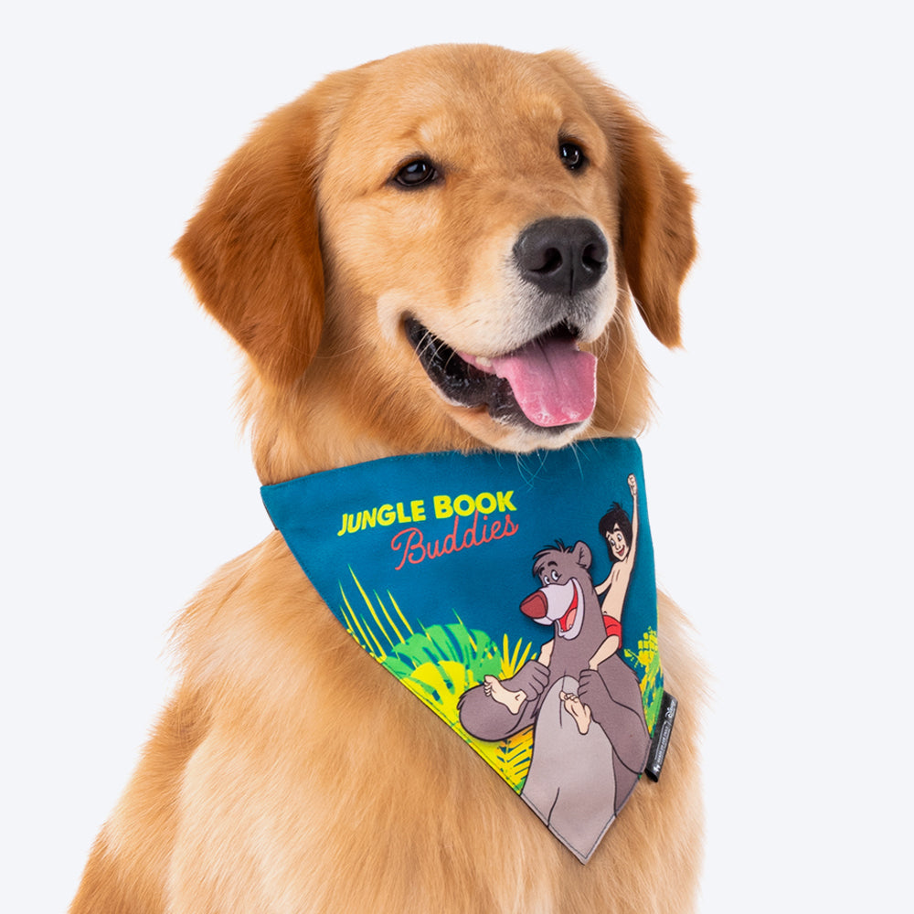 HUFT X©Disney Jungle Book Dog Bandana-2