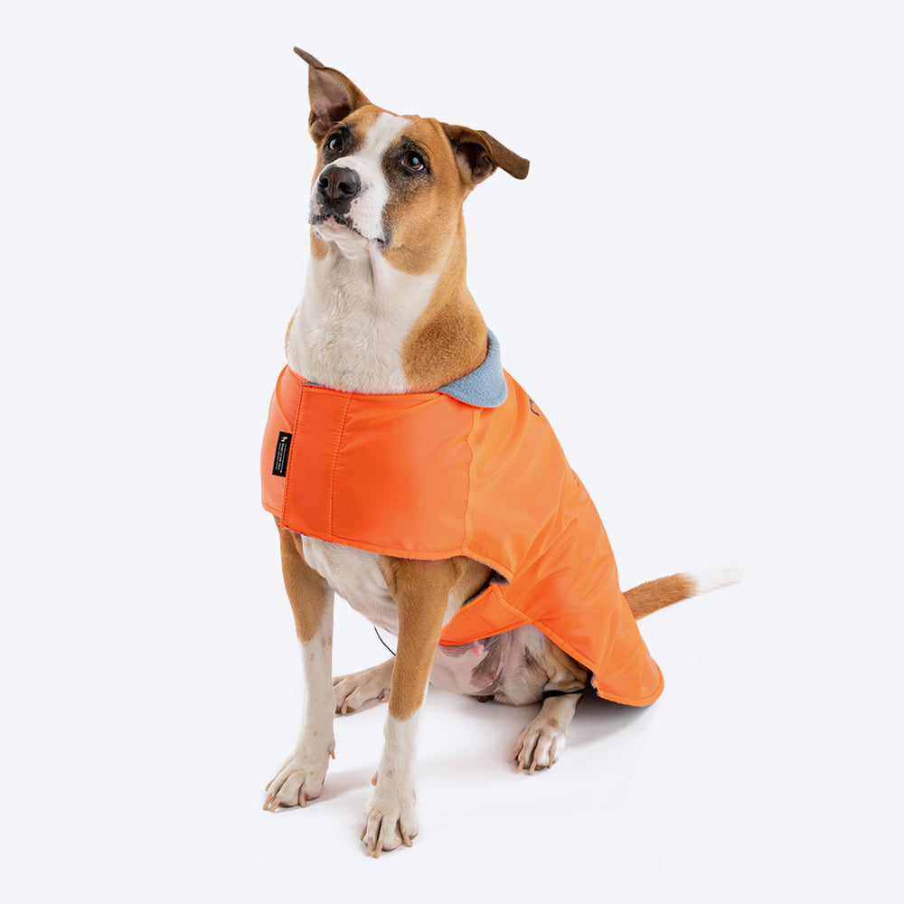 HUFT Snuggle Streetie Foundation Dog Jacket - Pack Of 3 - Heads Up For Tails