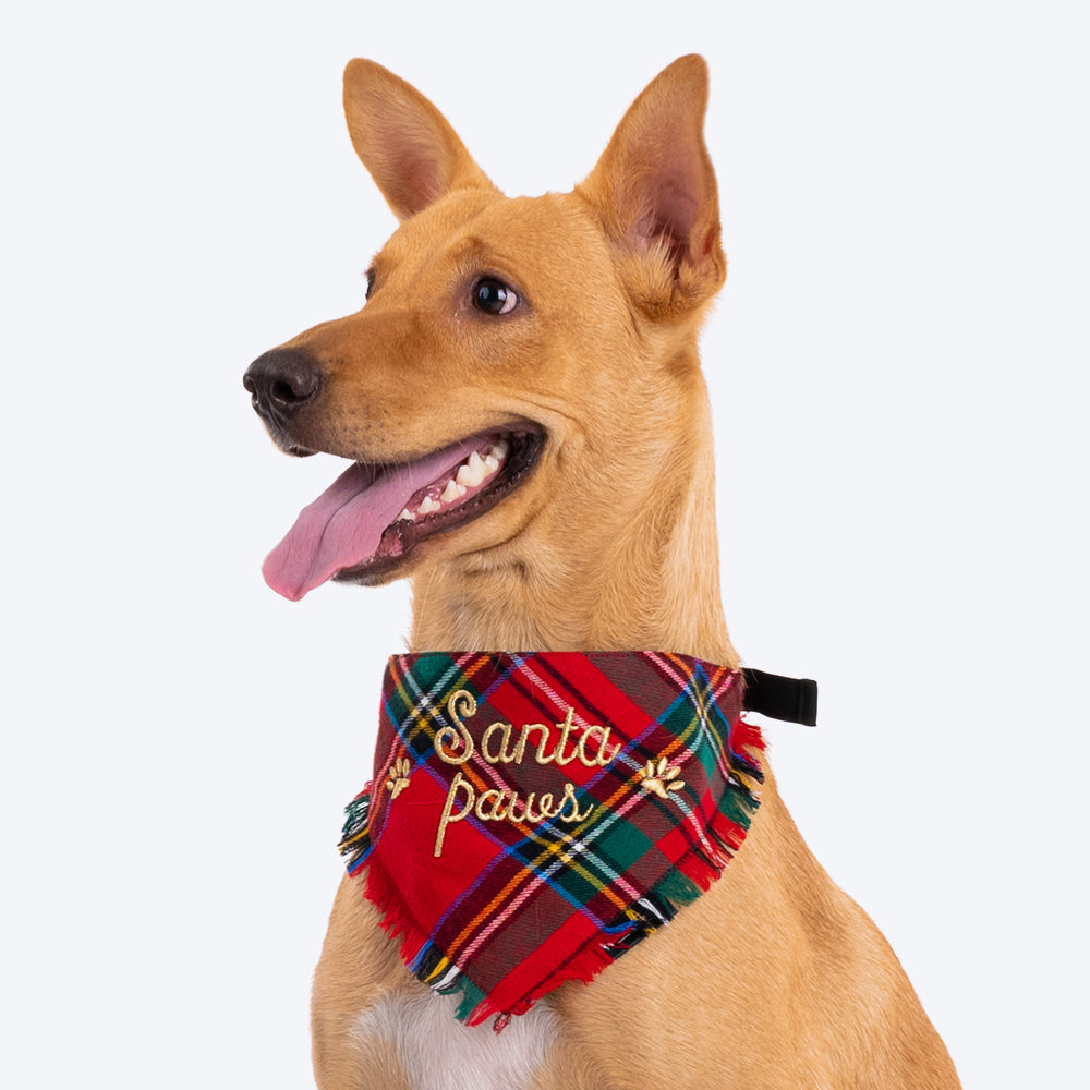 HUFT Santa Paws In Town Dog Bandana (Red and Green) - Heads Up For Tails