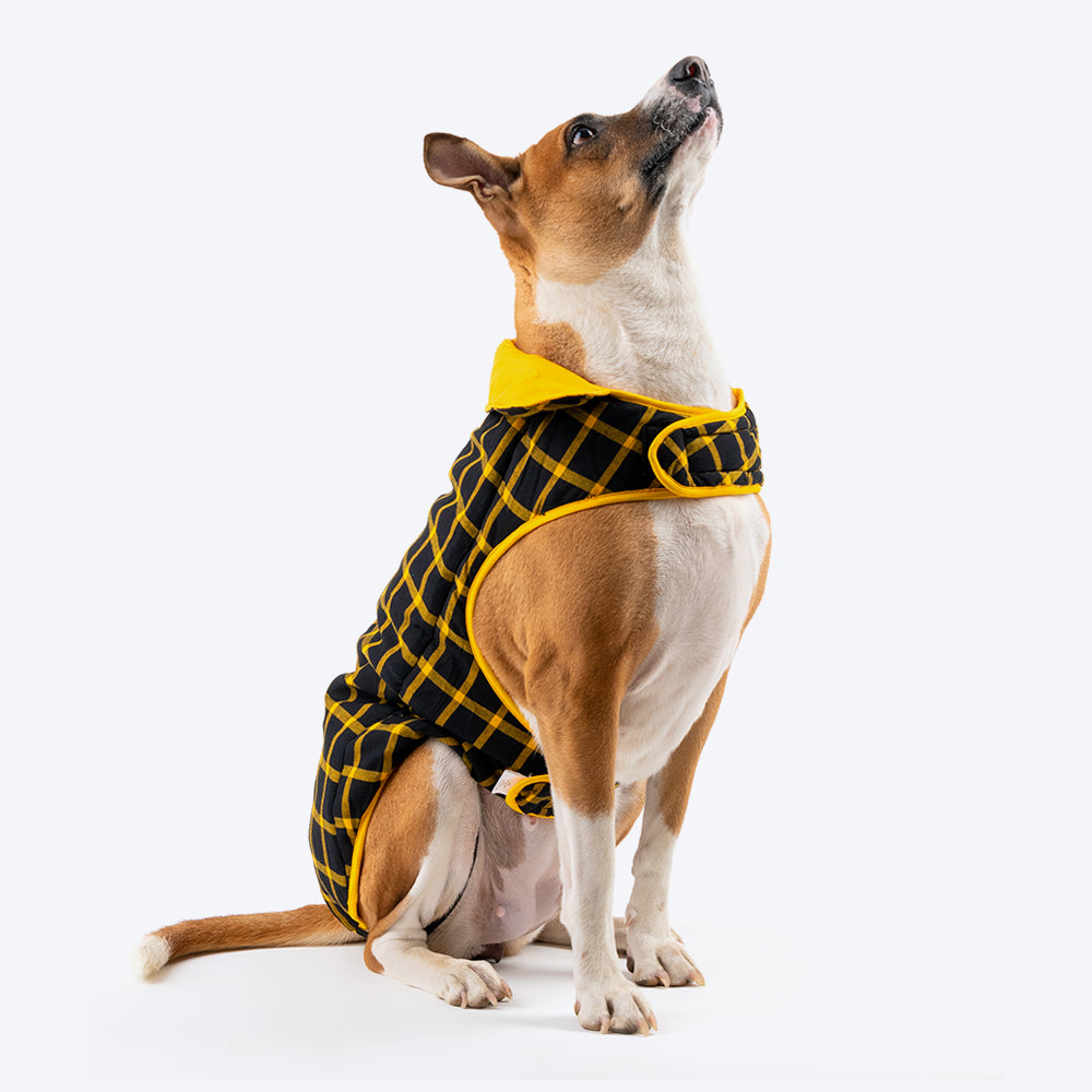 HUFT Wintersong Reversible Dog Jacket - Yellow - Heads Up For Tails