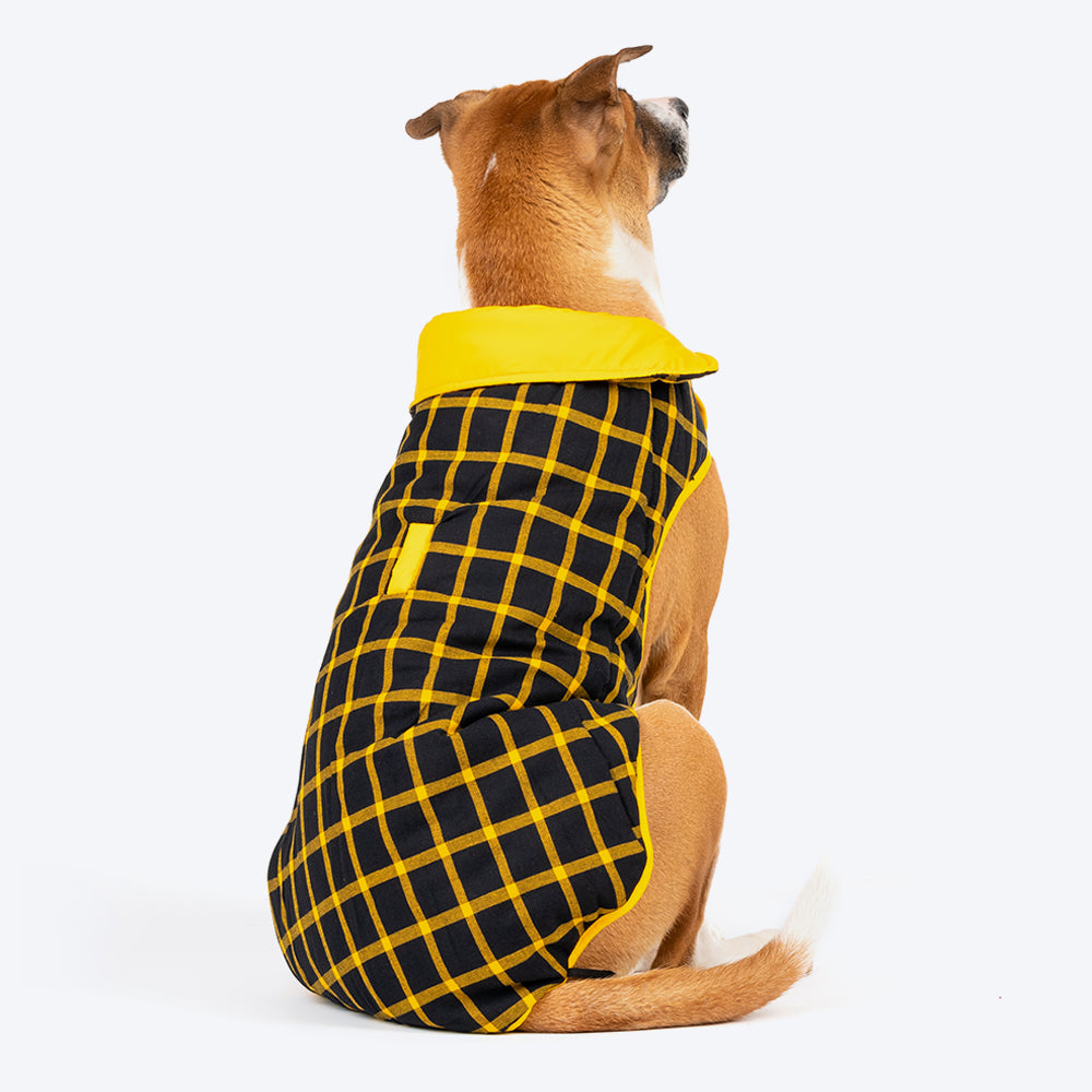 HUFT Wintersong Reversible Dog Jacket - Yellow - Heads Up For Tails