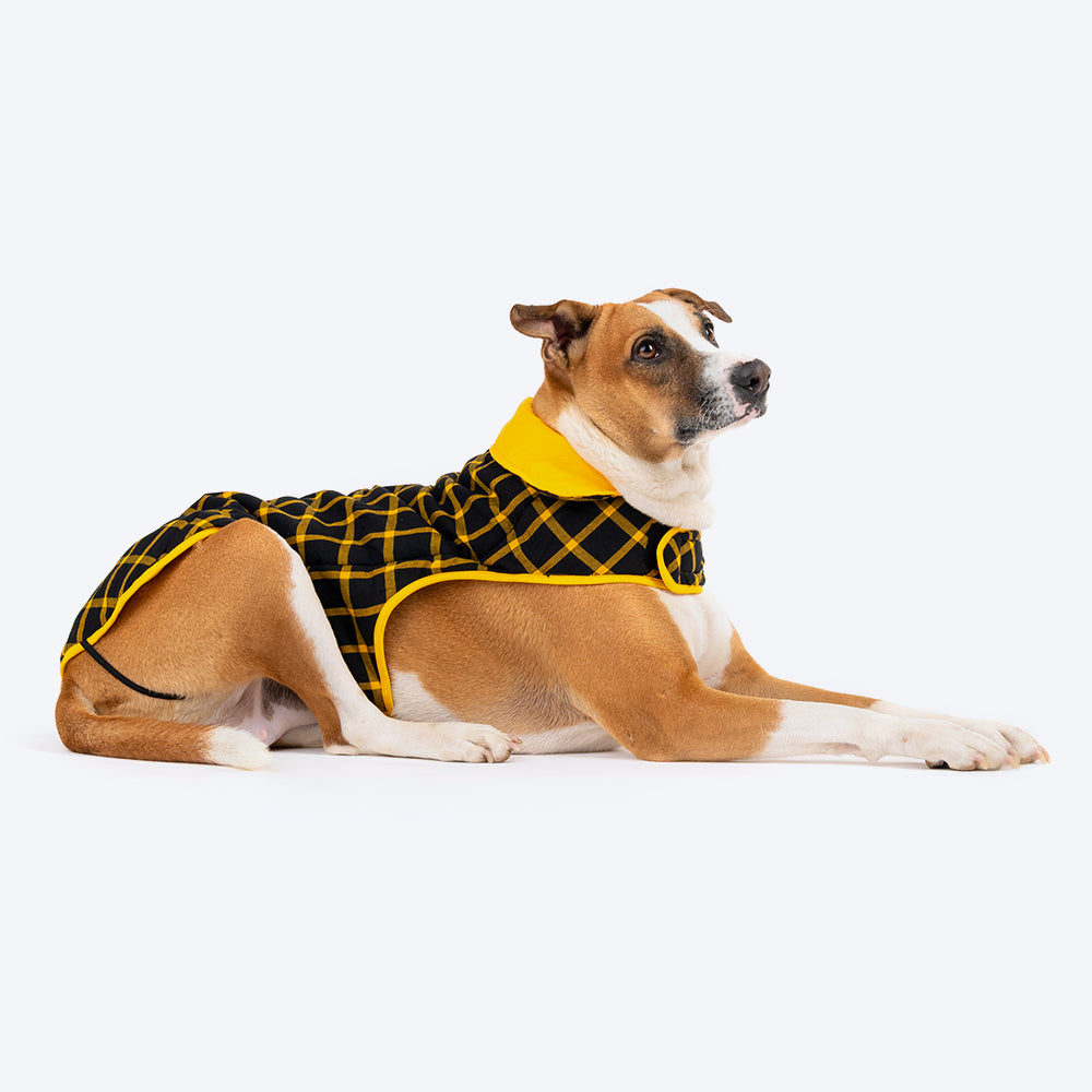 HUFT Wintersong Reversible Dog Jacket - Yellow - Heads Up For Tails