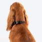 HUFT World's Best Bro Dog Bandana - Heads Up For Tails