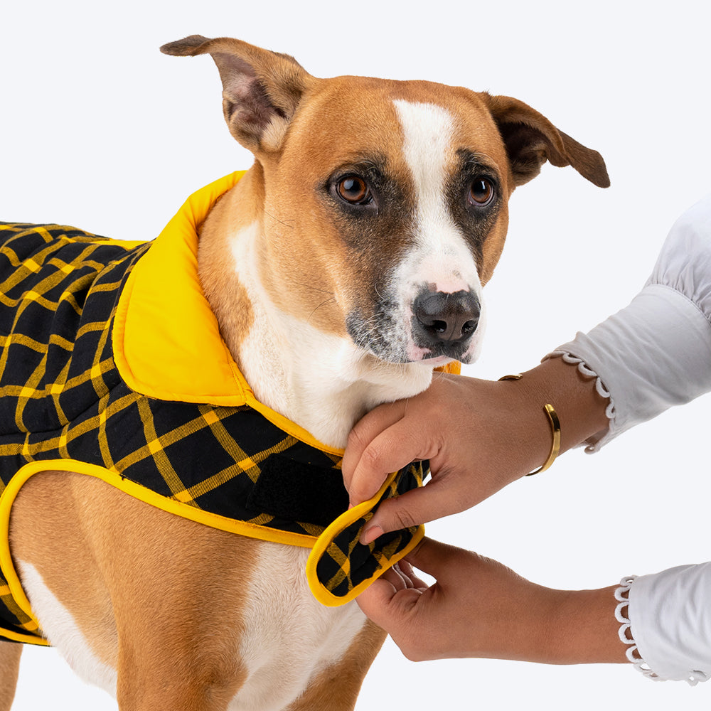 HUFT Wintersong Reversible Dog Jacket - Yellow - Heads Up For Tails