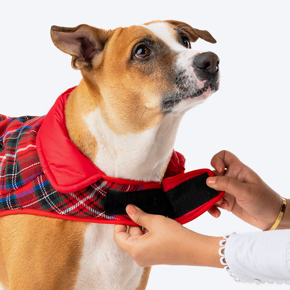 HUFT Wintersong Reversible Dog Jacket - Red - Heads Up For Tails