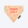 HUFT Personalised Birthday Cheer Dog Bandana - Beige - Heads Up For Tails