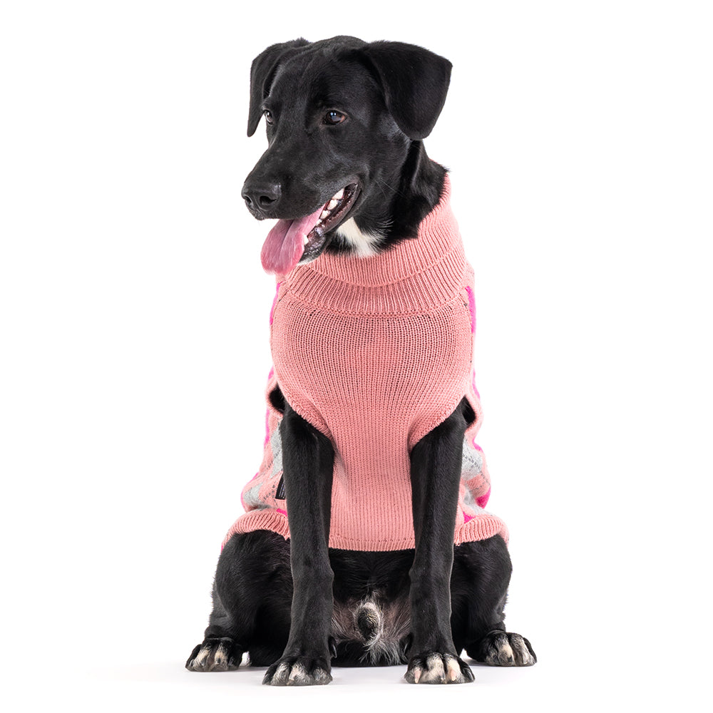 Fleece sale puppy sweater