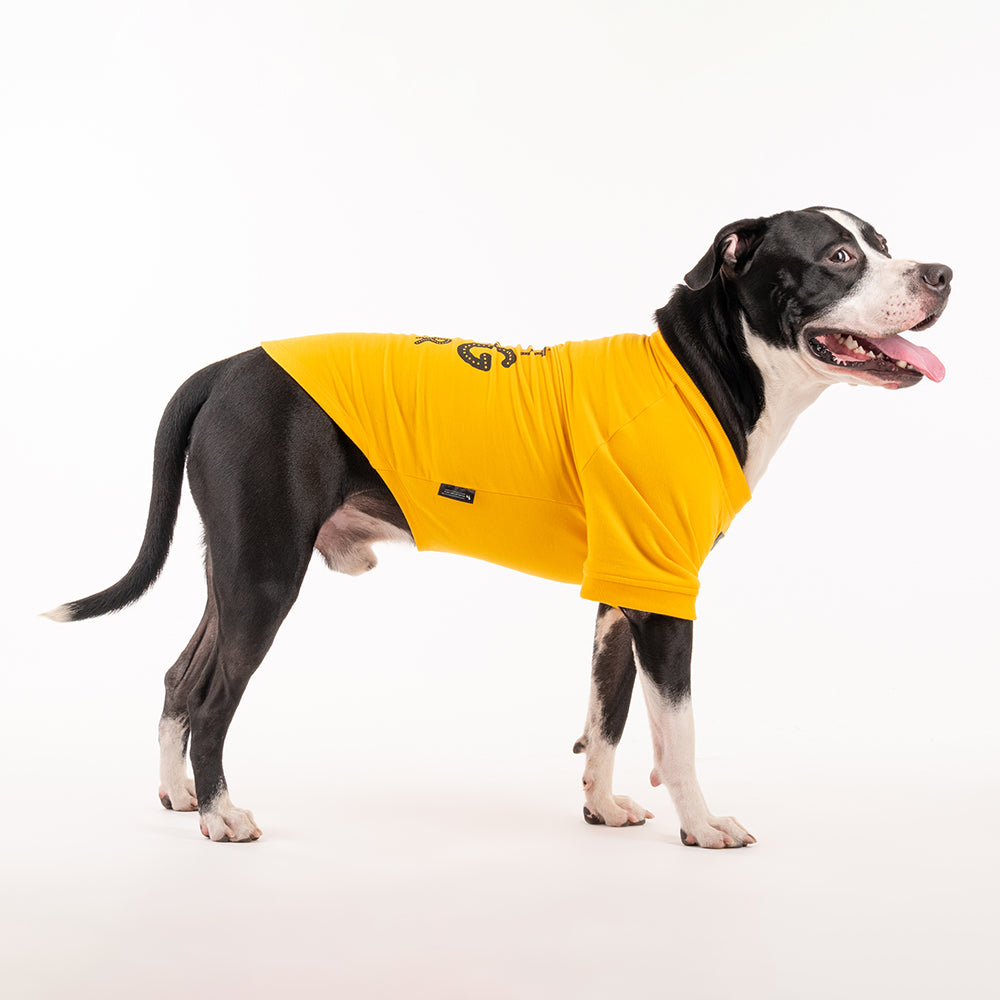 HUFT Best Dog Ever Pet Sweatshirt - Yellow - Heads Up For Tails