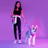 Dash Dog Flow Easy Walk Harness - Aqua Blue & Pink - Heads Up For Tails