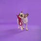 Dash Dog Spin Around Rope Dog Toy - Purple_07