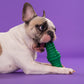 Dash Dog Tube Chew Dog Toy - Dark Green - Heads Up For Tails