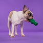 Dash Dog Tube Chew Dog Toy - Dark Green - Heads Up For Tails
