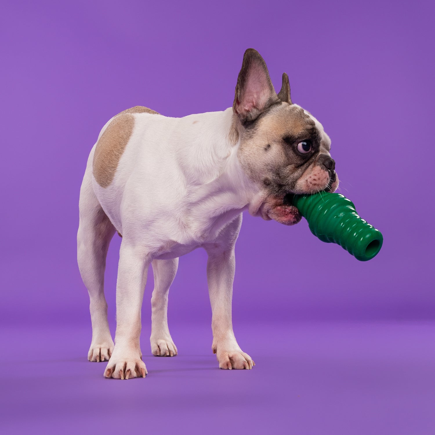 Dash Dog Tube Chew Dog Toy - Dark Green_06