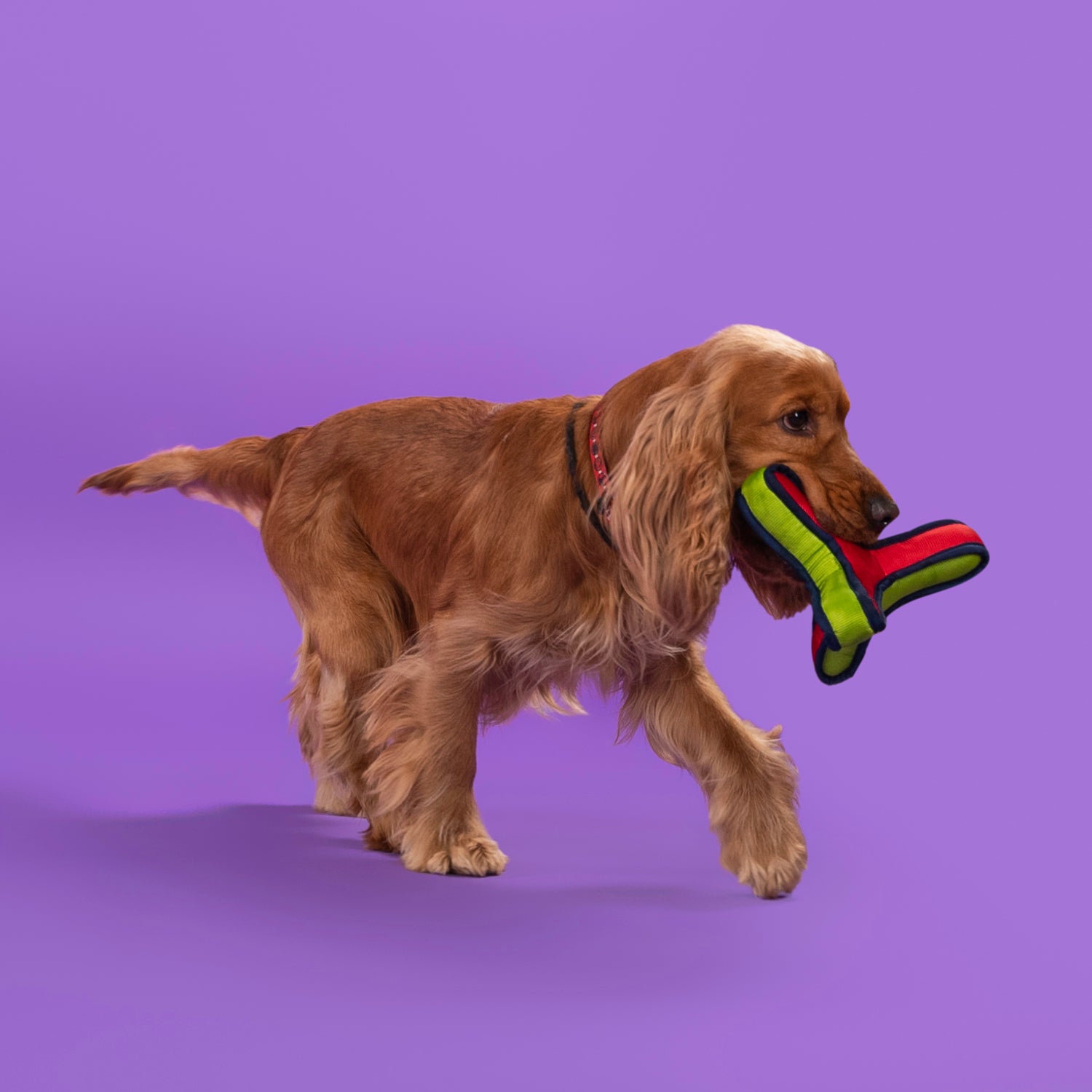 Dash Dog Zigzag Branch Fetch Dog Toy - Green/Red - Heads Up For Tails